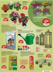 Gazetka promocyjna Vmarkt - Prospekte - Gazetka - ważna od 22.05 do 22.05.2024 - strona 19 - produkty: beere, beeren, beetpflanzen, Begonia, Begonie, blume, blumen, blumenerde, brause, Brei, eis, ente, erdbeere, erdbeeren, erde, Gießkanne, Holz, im 9-cm-topf, korn, kraft, kräuter, kräutern, laterne, orchidee, orchideen, pflanze, pflanzen, Rauch, Roller, rwe, schneckenkorn, Sukkulente, Ti, topf, übertopf