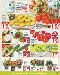 Gazetka promocyjna Edeka - Prospekte - Gazetka - ważna od 07.06 do 07.06.2025 - strona 5 - produkty: deka, eis, gurke, gurken, LG, paprika, pflanze, pflanzen, radieschen, reis, sac, salat, Salatgurke, salatgurken, Schal, Schale, Ti, topf, ZTE