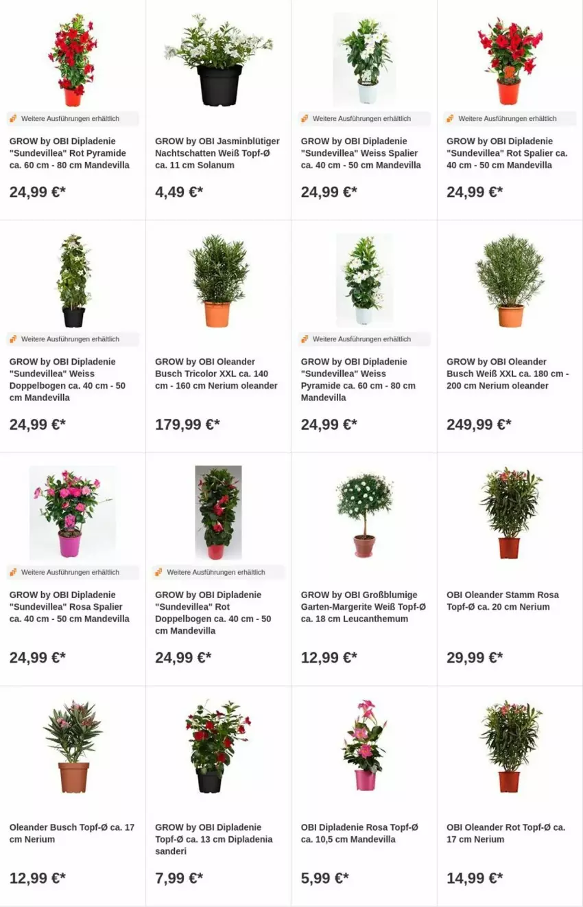 Aktueller Prospekt Obi - Prospekte - von 04.07 bis 12.07.2023 - strona 9 - produkty: dip, dipladenia, eis, Garten, Ti, topf