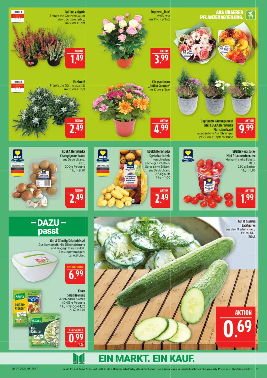 Aktueller Prospekt Marktkauf - Prospekt - von 07.09 bis 13.09.2025 - strona 11 - produkty: ball, Becher, braun, champignon, champignons, champignons braun, decke, Deckel, deka, discount, eis, gurke, kartoffel, kartoffeln, knorr, LG, pflaume, pflaumen, reis, salat, Salatgurke, schüssel, speisekartoffeln, Ti, tomate, tomaten, topf, tragegriff, ZTE