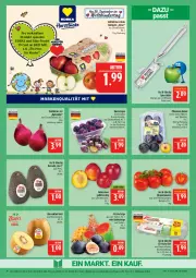 Gazetka promocyjna Marktkauf - Prospekt - Gazetka - ważna od 13.09 do 13.09.2025 - strona 10 - produkty: avocado, Birnen, deka, discount, edelstahl, eier, eis, Elan, fleisch, frucht, Kinder, kiwi, Kiwi Gold, LG, Nektar, nektarinen, pflaume, pflaumen, reis, rispentomaten, tafeläpfel, tafelbirnen, Ti, tomate, tomaten