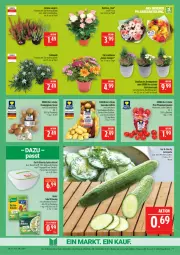Gazetka promocyjna Marktkauf - Prospekt - Gazetka - ważna od 13.09 do 13.09.2025 - strona 11 - produkty: ball, Becher, braun, champignon, champignons, champignons braun, decke, Deckel, deka, discount, eis, gurke, kartoffel, kartoffeln, knorr, LG, pflaume, pflaumen, reis, salat, Salatgurke, schüssel, speisekartoffeln, Ti, tomate, tomaten, topf, tragegriff, ZTE