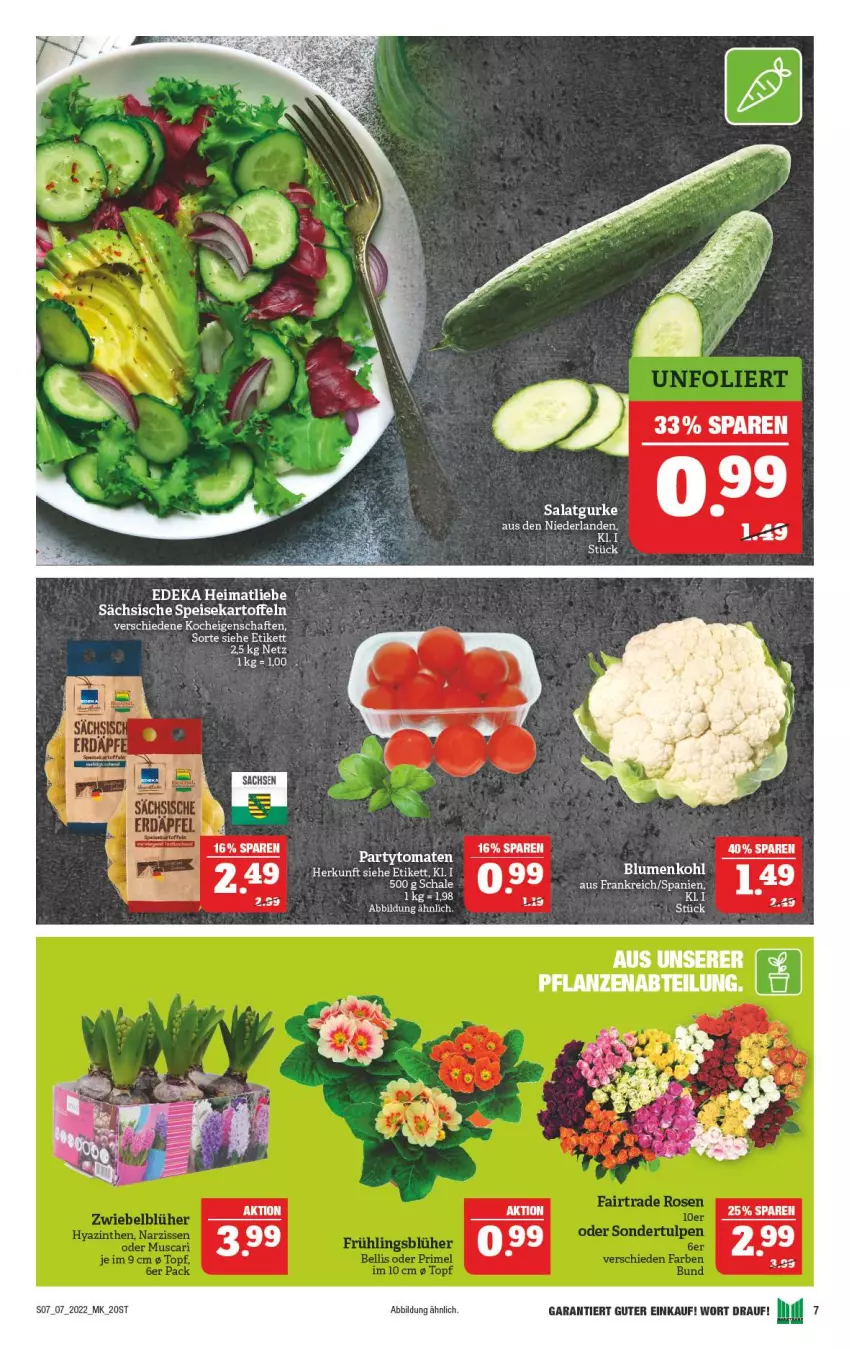 Aktueller Prospekt Marktkauf - Prospekt - von 13.02 bis 19.02.2022 - strona 7 - produkty: deka, eis, gurke, kartoffel, kartoffeln, salat, Salatgurke, Schal, Schale, speisekartoffeln, Ti, tomate, tomaten