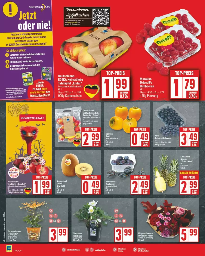 Aktueller Prospekt Edeka - Prospekte - von 28.10 bis 02.11.2024 - strona 2 - produkty: Schal, Schale, tafeläpfel