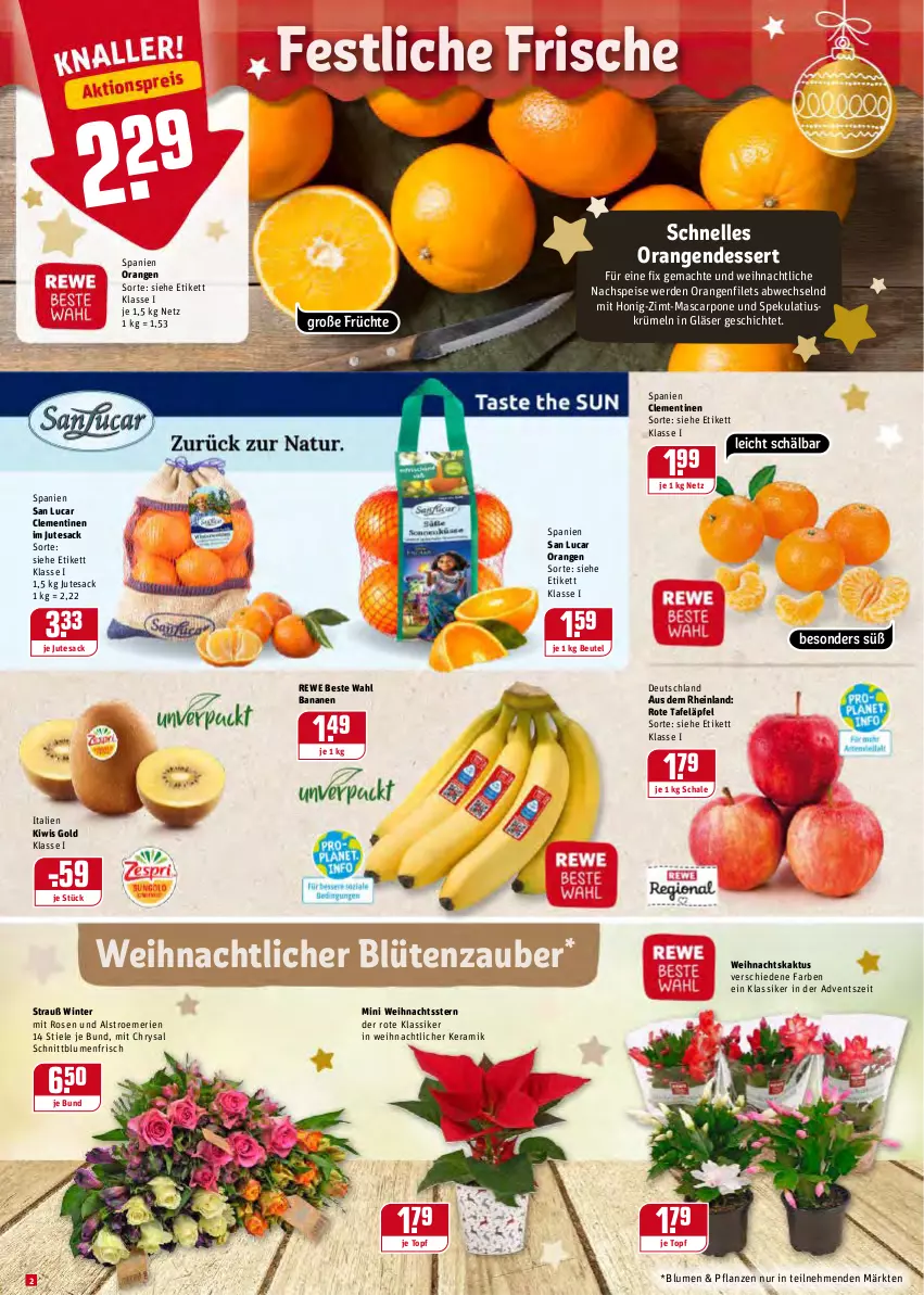 Aktueller Prospekt Rewe - Prospekte - von 20.12 bis 26.12.2021 - strona 2 - produkty: banane, bananen, beutel, blume, blumen, Blüte, clementinen, dessert, eis, elle, erde, filet, filets, früchte, Gläser, honig, kiwi, mac, mascarpone, orange, orangen, pflanze, pflanzen, rewe beste wahl, rosen, rote tafeläpfel, sac, Schal, Schale, tafeläpfel, tesa, Ti, topf, Weihnachtsstern