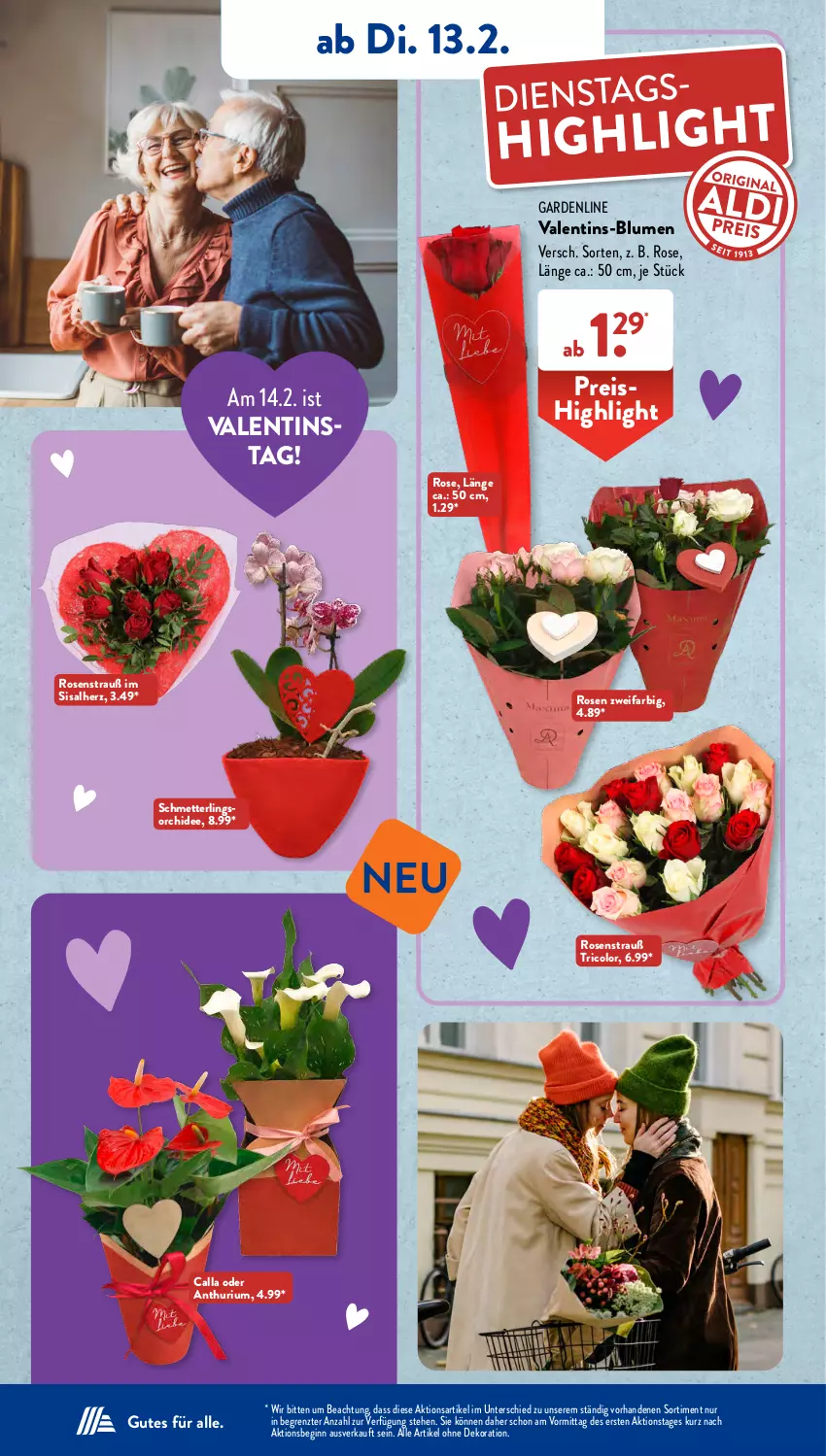 Aktueller Prospekt AldiSud - IN ZWEI WOCHEN - von 12.02 bis 17.02.2024 - strona 10 - produkty: alle artikel ohne dekoration, blume, blumen, dekoration, eis, gin, Mett, orchidee, reis, rosen, Rosenstrauß, Schmetterling, schmetterlingsorchidee, Ti, ZTE