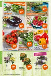 Gazetka promocyjna Tegut - Angebote der Woche - Gazetka - ważna od 29.04 do 29.04.2023 - strona 4 - produkty: angebot, angebote, aubergine, auberginen, Bau, bio, Bio-Paprika, blume, blumen, calibrachoa, chrysanthemen, cola, dekoration, gin, Kalanchoe, lamm, natur, naturland, paprika, paprika rot, pflanze, pflanzen, pril, radieschen, Rauch, rucola, salat, Schal, Schale, spargel, strauchtomaten, Ti, tomate, tomaten, topf, zauberglöckchen