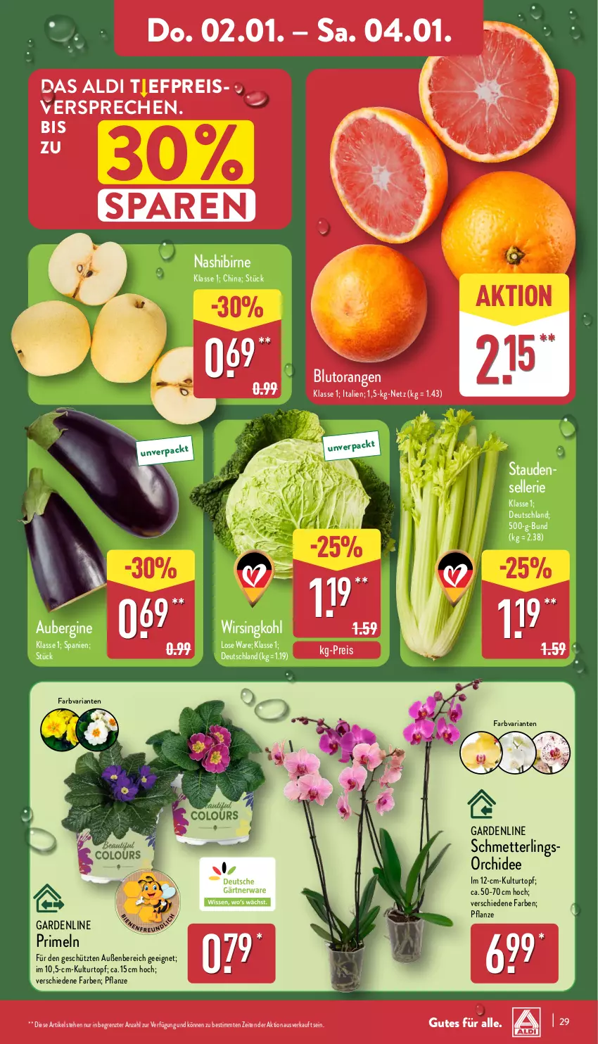 Aktueller Prospekt Aldi Nord - Von Montag - von 30.12.2024 bis 04.01.2025 - strona 29 - produkty: aldi, aubergine, Blüte, Blutorange, Brei, eis, elle, gin, kulturtopf, Mett, Nashi, orange, orangen, orchidee, pflanze, Primeln, reis, Ria, Schmetterling, schmetterlingsorchidee, stauden, Ti, topf, Wirsing, Wirsingkohl, ZTE