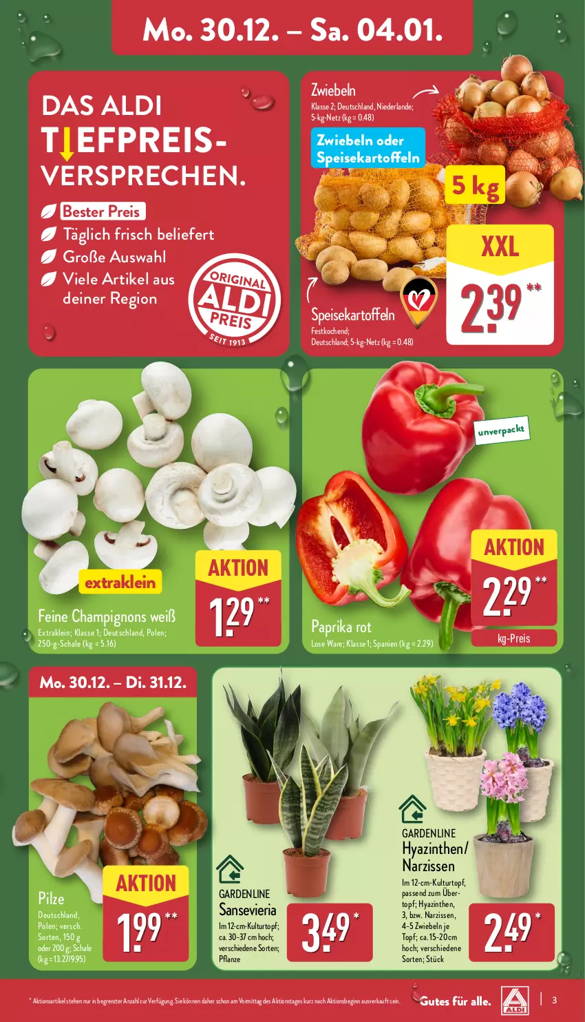 Aktueller Prospekt Aldi Nord - Von Montag - von 30.12.2024 bis 04.01.2025 - strona 3 - produkty: aldi, champignon, champignons, eis, gin, kartoffel, kartoffeln, kulturtopf, Narzissen, paprika, paprika rot, pflanze, pilze, reis, Ria, Schal, Schale, speisekartoffeln, Ti, topf, ZTE, zwiebel, zwiebeln