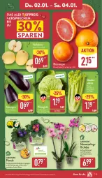 Gazetka promocyjna Aldi Nord - Von Montag - Gazetka - ważna od 04.01 do 04.01.2025 - strona 29 - produkty: aldi, aubergine, Blüte, Blutorange, Brei, eis, elle, gin, kulturtopf, Mett, Nashi, orange, orangen, orchidee, pflanze, Primeln, reis, Ria, Schmetterling, schmetterlingsorchidee, stauden, Ti, topf, Wirsing, Wirsingkohl, ZTE