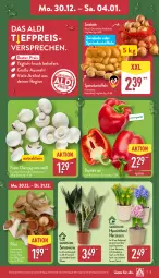 Gazetka promocyjna Aldi Nord - Von Montag - Gazetka - ważna od 04.01 do 04.01.2025 - strona 3 - produkty: aldi, champignon, champignons, eis, gin, kartoffel, kartoffeln, kulturtopf, Narzissen, paprika, paprika rot, pflanze, pilze, reis, Ria, Schal, Schale, speisekartoffeln, Ti, topf, ZTE, zwiebel, zwiebeln