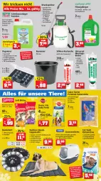 Gazetka promocyjna Thomas Philipps - Prospektwerbung - Gazetka - ważna od 21.05 do 21.05.2022 - strona 3 - produkty: apfel, auer, Bau, Baueimer, Becher, bett, binden, blume, blumen, brie, bürste, decke, Deckel, Dekoapfel, dünger, edelstahl, eimer, eis, ente, flüssigdünger, Garten, Holz, HP, Hundebett, katzensnack, Katzenstreu, kerze, kleber, lack, laterne, latte, Liege, magnum, matratze, matratzen, matratzenauflage, mikrofaser, regal, reiniger, reis, sac, Schal, Schale, Scheibenreiniger, schlauch, schwerlastregal, sekt, snack, strümpfe, Ti, Tiere, tisch, tischdecke, tischplatte, topf, tuc, vorteilspreis, wachstuch, wasser, werkzeug