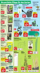 Gazetka promocyjna Thomas Philipps - Gazetka - ważna od 15.06 do 15.06.2024 - strona 2 - produkty: adapter, bambus, bio, blume, blumen, blumenerde, Blüte, brause, Brei, dünger, eis, elle, erde, flüssigdünger, Garten, Gartenbrause, Gartenpflanze, Gemüsedünger, Gießkanne, Holz, LG, pflanze, pflanzen, Rauch, reis, Ria, sac, schlauch, schnitzel, Ti, vorteilspreis, wasser