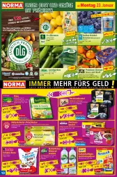 Gazetka promocyjna Norma - Norma - Gazetka - ważna od 30.01 do 30.01.2023 - strona 10 - produkty: Alwa, beere, beeren, beutel, bio, bio-zitronen, clementinen, eimer, eis, erde, fenchel, flasche, früchte, Früchtetee, Geflügel, gelee, getränk, getränke, getränkepulver, gurke, gurken, heidelbeere, heidelbeeren, kakao, Käse, kräuter, kühlregal, Landgurken, LG, mineralwasser, natur, natürliches mineralwasser, nuss, obst, Obst und Gemüse, portionsbeutel, regal, reis, sauce, schoko, tee, Ti, tiefpreis, und gemüse, wasser, zitrone, zitronen