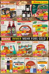 Gazetka promocyjna Norma - Norma - Gazetka - ważna od 30.01 do 30.01.2023 - strona 7 - produkty: apfel, Becher, Blüte, Brühe, champignon, champignons, Clin, eis, flasche, fleisch, frucht, gulasch, Käse, käse vielfalt, kräuter, kräuterlikör, kühlregal, Lauchzwiebel, likör, mac, meerrettich, melone, melonen, obazda, Pfifferlinge, pfirsich, pils, pilze, premium pils, recyclingmaterial, regal, reis, Rettich, Ria, saft, sahne, sauce, Schmelzkäse, schnitzel, schwein, schweine, schweinefleisch, schweineschnitzel, sirup, Speck, Spezi, Sprotten, Steinpilze, südtiroler, Ti, tomate, tomaten, tomatensauce, wasser, wassermelone, wassermelonen, wein, weine, wiener, zwiebel