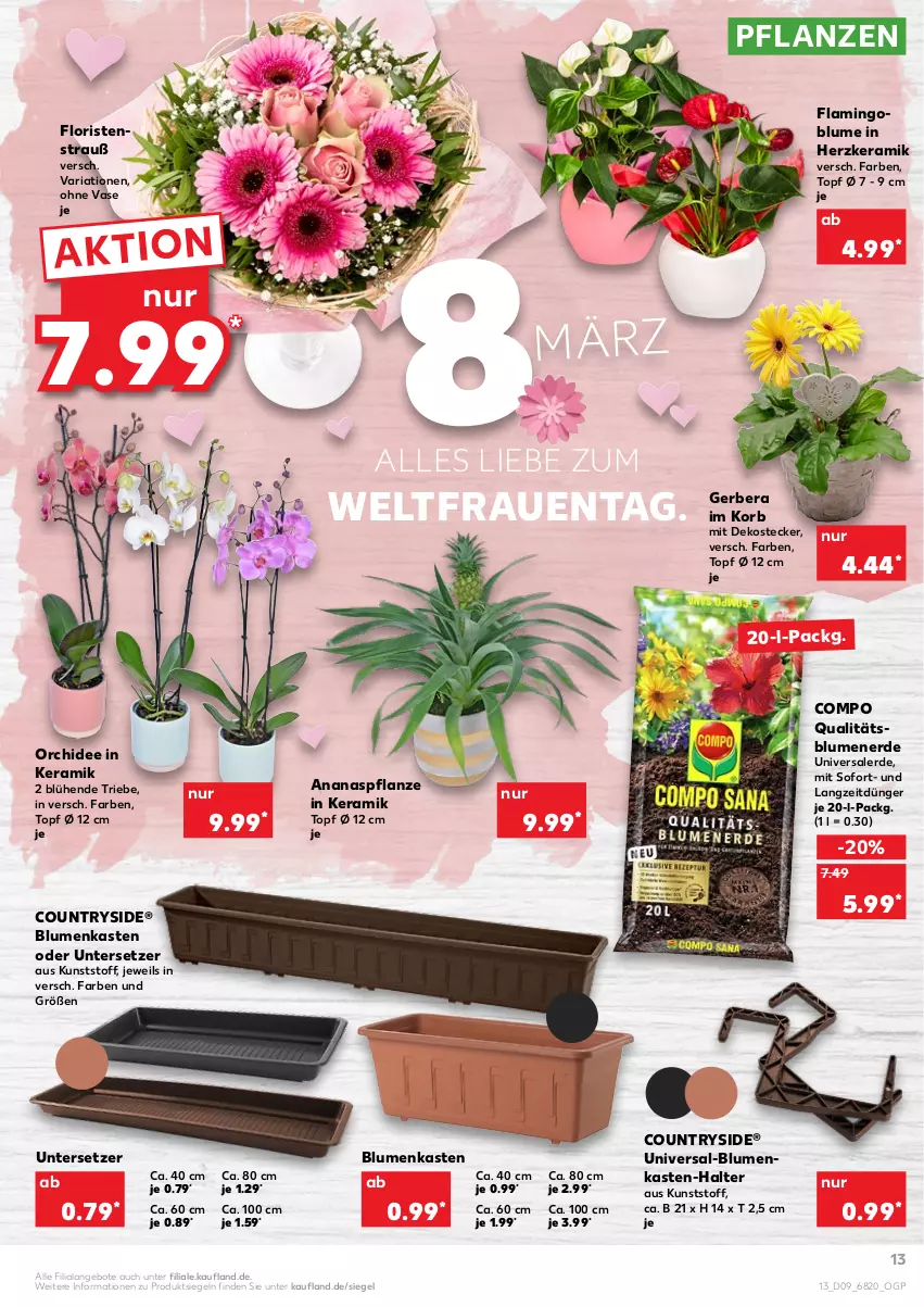 Aktueller Prospekt Kaufland - von 03.03 bis 09.03.2022 - strona 13 - produkty: ananas, angebot, angebote, blume, blumen, blumenerde, dünger, erde, Gerber, korb, orchidee, pflanze, pflanzen, Ria, Ti, topf, topf ø 12 cm, Untersetzer, Vase