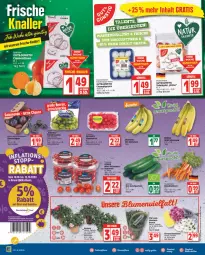 Gazetka promocyjna Edeka - Angebote der Woche - Gazetka - ważna od 15.10 do 15.10.2022 - strona 6 - produkty: banane, bananen, beere, beeren, beutel, bio, bio-bananen, Bundmöhren, chrysanthemen, deka, deutschlandcard, driscoll's, eis, gurke, gurken, himbeer, himbeere, himbeeren, möhren, pflaume, pflaumen, reis, salat, Salatgurke, salatgurken, Schal, Schale, tafeläpfel, tafeltrauben, Ti, tomate, tomaten, topf, trauben, ZTE