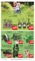 Gazetka promocyjna Marktkauf - Prospekt - Gazetka - ważna od 21.05 do 21.05.2022 - strona 5 - produkty: eis, elle, reis, teller, Ti