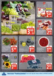 Gazetka promocyjna Edeka - Prospekte - Gazetka - ważna od 23.08 do 23.08.2025 - strona 6 - produkty: beere, beeren, eis, heidelbeere, heidelbeeren, Nektar, nektarinen, payback, pfirsich, pfirsiche, pfirsiche oder, plattpfirsiche, reis, tesa, Ti, trauben, ZTE