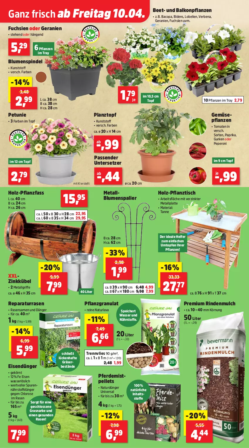 Aktueller Prospekt Thomas Philipps - von 07.04 bis 11.04.2026 - strona 3 - produkty: balkonpflanzen, blume, blumen, dünger, eis, elle, erde, geranie, geranien, gurke, gurken, Holz, latte, LG, Lobelie, natur, paprika, Pellets, peperoni, Peroni, petunie, pflanze, pflanzen, rasen, rasensamen, Ria, rind, rindenmulch, Ti, tisch, tomate, tomaten, topf, Topfen, Untersetzer, wasser