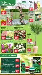 Gazetka promocyjna Thomas Philipps - Gazetka - ważna od 11.04 do 11.04.2026 - strona 2 - produkty: abis, Bau, Blüte, braun, dünger, erde, flieder, flüssigdünger, Garten, Grünpflanzen, Löffel, pavillon, pflanze, pflanzen, Pflanztopf, Rauch, rosen, rosenerde, salz, Spezi, Ti, topf, wasser