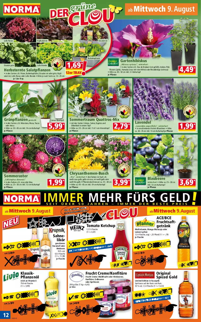 Aktueller Prospekt Norma - Norma - von 07.08 bis 14.08.2023 - strona 12 - produkty: aprikose, aprikosen, beere, beeren, bio, Blaubeer, blaubeere, butter, chrysanthemen, creme, eis, erdbeere, erdbeeren, flasche, Flowers, frucht, fruchtsaft, fruchtsaftgetränk, Garten, getränk, gin, Grünpflanzen, hama, himbeer, himbeere, himbeeren, karamell, ketchup, konfitüre, kopfsalat, kulturtopf, lavendel, likör, mab, mango, maracuja, messer, monster, Monstera, original spiced gold, pflanze, pflanzen, Pflanzenöl, Ria, rum, saft, sahne, salat, salz, Ti, tomato ketchup, topf, übertopf, vita