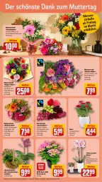 Gazetka promocyjna Rewe - Prospekte - Gazetka - ważna od 11.05 do 11.05.2024 - strona 8 - produkty: blume, blumen, Blumenstrauß, dekoration, eis, geschenkset, hortensie, korb, Mett, orchidee, rewe beste wahl, rosen, Rosenstrauß, Schmetterling, Ti, topf, Yo