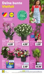 Gazetka promocyjna Lidl - Aktionsprospekt - Gazetka - ważna od 27.04 do 27.04.2024 - strona 4 - produkty: angebot, beere, beeren, coupon, Mett, ndk, orchidee, petunie, pflanze, pflanzen, Rauch, Schal, Schale, Schmetterling, Ti, topf