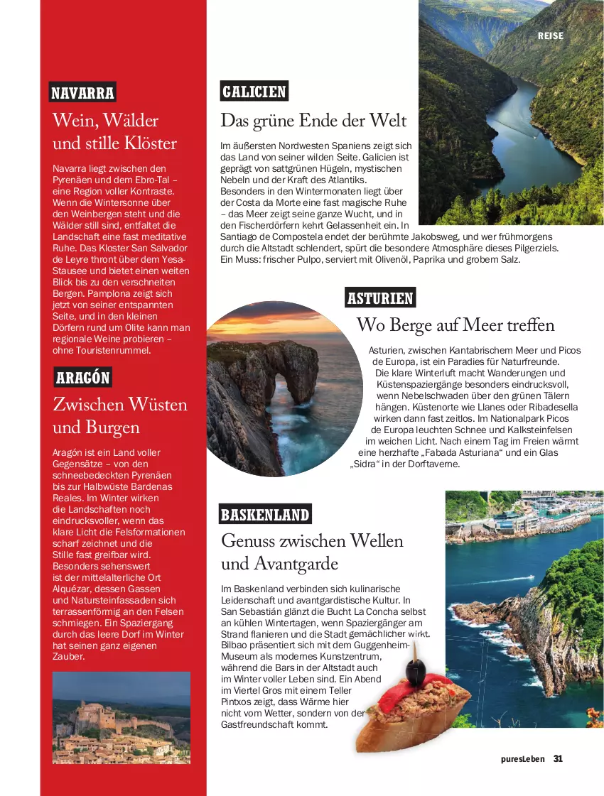 Aktueller Prospekt Hit - pures Leben - von 01.01 bis 31.03.2026 - strona 31 - produkty: asti, Bad, bier, Biere, binden, buch, Cien, eis, elle, fisch, fische, Fischer, jako, kraft, leine, Leuchte, leuchten, LG, mac, Mode, natur, naturstein, nuss, olive, oliven, olivenöl, paprika, reis, Ria, rum, salz, senf, teller, Ti, tisch, wein, weine, Weste, Wild