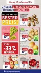 Gazetka promocyjna AldiSud - NÄCHSTE WOCHE - Gazetka - ważna od 10.09 do 10.09.2022 - strona 2 - produkty: aldi, beutel, bio, braun, champignon, champignons, champignons braun, datteltomaten, eimer, eis, grapefruit, kartoffel, kartoffeln, kracher, natur, reis, Schal, Schale, sim, simba, speisekartoffeln, Ti, tomate, tomaten, trauben, ZTE