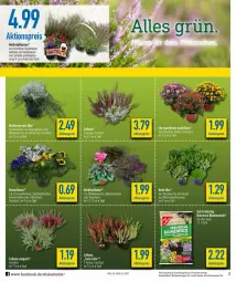 Gazetka promocyjna Diska - Prospekte - Gazetka - ważna od 01.10 do 01.10.2022 - strona 2 - produkty: aktionspreis, blume, blumen, blumenerde, burger, eis, elle, erde, fisch, Heu, pflanze, pflanzen, reis, rel, Ria, Schal, Schale, tee, Ti, topf