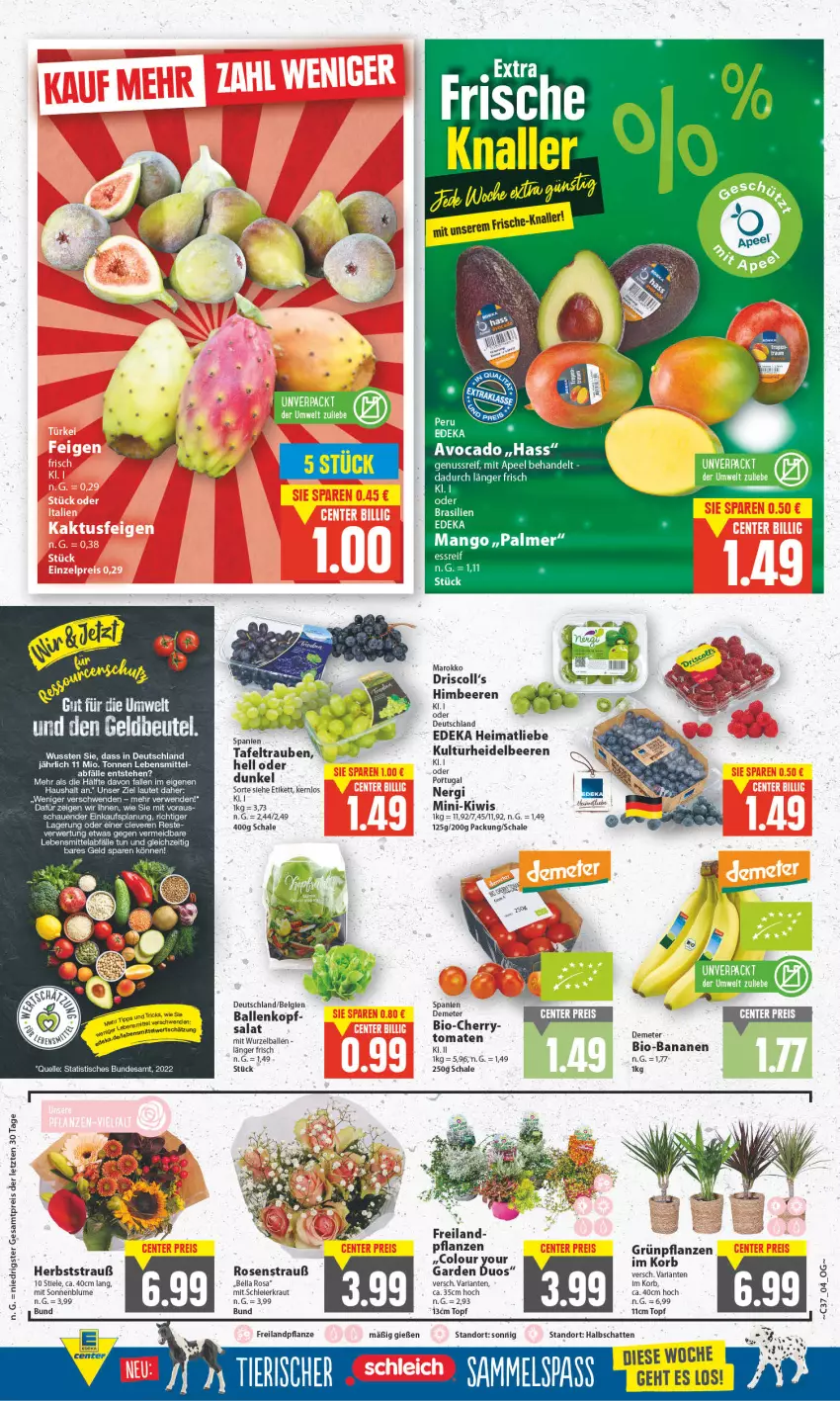 Aktueller Prospekt E Center - Angebote der Woche - von 12.09 bis 17.09.2022 - strona 4 - produkty: arla, auer, avocado, ball, banane, bananen, beere, beeren, bio, bio-bananen, blume, deka, eier, eis, elle, Grünpflanzen, heidelbeere, heidelbeeren, himbeer, himbeere, himbeeren, kiwi, korb, Kraut, lebensmittel, LG, mango, pflanze, pflanzen, reis, rosen, Rosenstrauß, rwe, salat, Schal, Schale, sonnenblume, tafeltrauben, Ti, tisch, tomate, tomaten, topf, trauben, Yo, ZTE