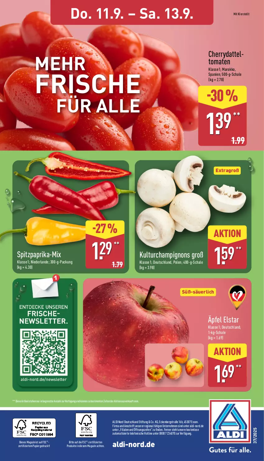 Aktueller Prospekt Aldi Nord - Von Montag - von 08.09 bis 13.09.2025 - strona 4 - produkty: aldi, auto, champignon, champignons, magazin, papier, paprika, Schal, Schale, Spitzpaprika, telefon, Ti, tomate, tomaten, ZTE