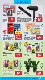 Gazetka promocyjna Aldi Nord - Von Montag - Gazetka - ważna od 13.09 do 13.09.2025 - strona 25 - produkty: ambia, beutel, blume, blumen, Blüte, Brei, buch, decke, eis, gin, haartrockner, kulturtopf, pflanze, reis, Ria, ring, sac, Spezi, Spiele, Tasche, Ti, topf, tragetasche, Trockner, ZTE, zwiebel, zwiebeln