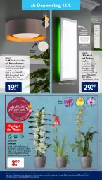 Gazetka promocyjna AldiSud - ALDI Aktuell - Gazetka - ważna od 15.01 do 15.01.2022 - strona 17 - produkty: aldi, alle artikel ohne dekoration, beleuchtung, blume, blumen, Blüte, decke, deckenleuchte, dekoration, dell, eis, elle, fernbedienung, gardenline®, gin, kulturtopf, Leuchte, Mode, orchidee, phalaenopsis, quad, Ria, Schal, Ti, tisch, topf, ZTE