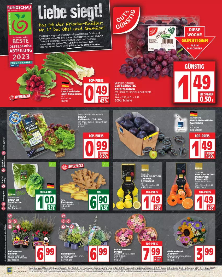 Aktueller Prospekt Edeka - Angebote der Woche - von 11.09 bis 16.09.2023 - strona 6 - produkty: Abtei, Astra, ball, bio, deka, edeka bio, eis, elle, ente, frucht, Garten, ingwer, Lauchzwiebel, lauchzwiebeln, lebensmittel, mandarine, mandarinen, obst, pflanze, radieschen, reis, ring, rosen, rum, salat, salatherzen, Schal, Schale, speyer, Stiegl, tafeltrauben, Ti, top-preis, trauben, wagner, Wild, zitrone, zitronen, ZTE, zwiebel, zwiebeln