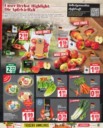 Gazetka promocyjna Edeka - Angebote der Woche - Gazetka - ważna od 16.09 do 16.09.2023 - strona 7 - produkty: apfel, apfelsaft, beutel, bio, Bundmöhren, deka, dressing, edeka bio, eis, Elvie, fisch, Garten, joghur, joghurt, Käse, mac, möhren, reifen, reis, rezept, rezepte, Romanasalat, saft, salat, salate, Schal, Schale, Schalotte, schinken, senf, snack, snacks, tafeläpfel, thunfisch, Ti, top-preis, ZTE