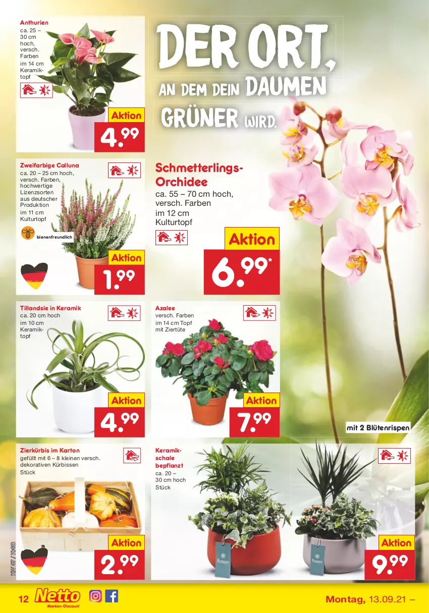 Aktueller Prospekt Netto Marken-Discount - Filial Angebote - von 13.09 bis 18.09.2021 - strona 12