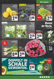 Gazetka promocyjna Edeka - Angebote der Woche - Gazetka - ważna od 07.10 do 07.10.2023 - strona 5 - produkty: aktionspreis, avocado, avocados, Bau, bett, bio, Birnen, eis, elle, Garten, kopfsalat, kräuter, Lauchzwiebel, lauchzwiebeln, obst, reis, rosen, salat, Schal, Schale, tafelbirnen, tee, Ti, topf, trauben, zwiebel, zwiebeln
