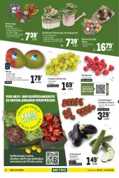 Gazetka promocyjna Metro - Food - Gazetka - ważna od 11.05 do 11.05.2022 - strona 8 - produkty: angebot, angebote, aubergine, auberginen, beere, beeren, blume, blumen, cocktail, decke, eis, elle, früchte, Gießkanne, gin, himbeer, himbeere, himbeeren, Holz, mango, Metro, obst, reis, rispentomaten, rosen, Schal, Schale, Ti, tisch, tomate, tomaten, trauben, und gemüse, ZTE, zucchini