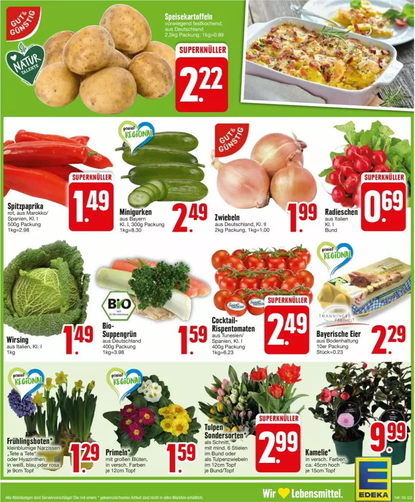 Aktueller Prospekt Edeka - Prospekte - von 29.01 bis 03.02.2024 - strona 3 - produkty: Blüte, cocktail, eier, gurke, gurken, Narzissen, paprika, paprika rot, radieschen, rispentomaten, Spitzpaprika, suppe, suppen, Ti, tomate, tomaten, topf, Wirsing, zwiebel, zwiebeln