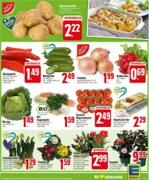 Gazetka promocyjna Edeka - Prospekte - Gazetka - ważna od 03.02 do 03.02.2024 - strona 3 - produkty: Blüte, cocktail, eier, gurke, gurken, Narzissen, paprika, paprika rot, radieschen, rispentomaten, Spitzpaprika, suppe, suppen, Ti, tomate, tomaten, topf, Wirsing, zwiebel, zwiebeln