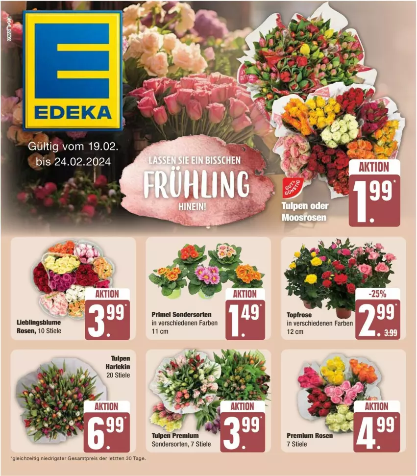 Aktueller Prospekt Edeka - Prospekte - von 19.02 bis 24.02.2024 - strona 5 - produkty: blume, eis, reis, rosen, Ti, ZTE