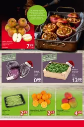 Gazetka promocyjna Selgros - Food - Gazetka - ważna od 24.12 do 24.12.2024 - strona 8 - produkty: apfel, backofen, Ofen, Ti, WICK
