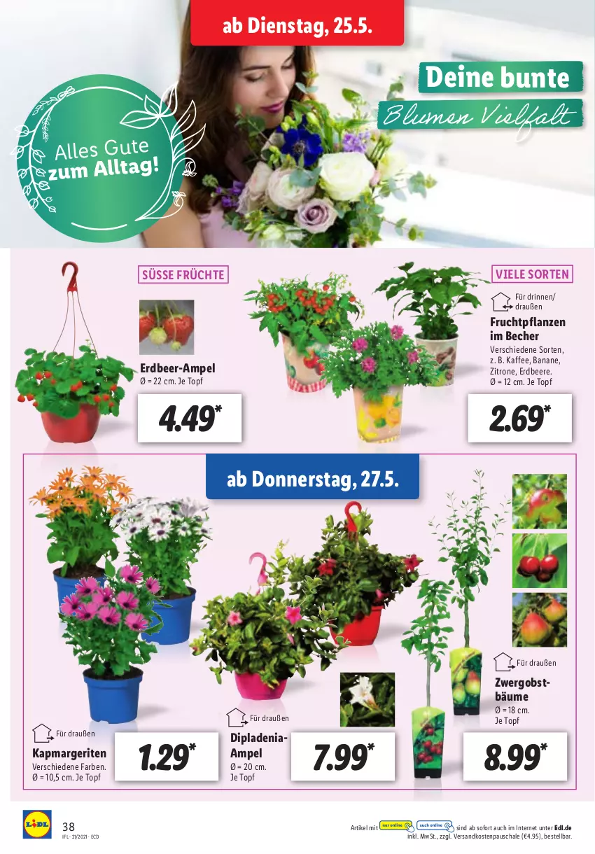 Aktueller Prospekt Lidl - Aktionsprospekt - von 25.05 bis 29.05.2021 - strona 38