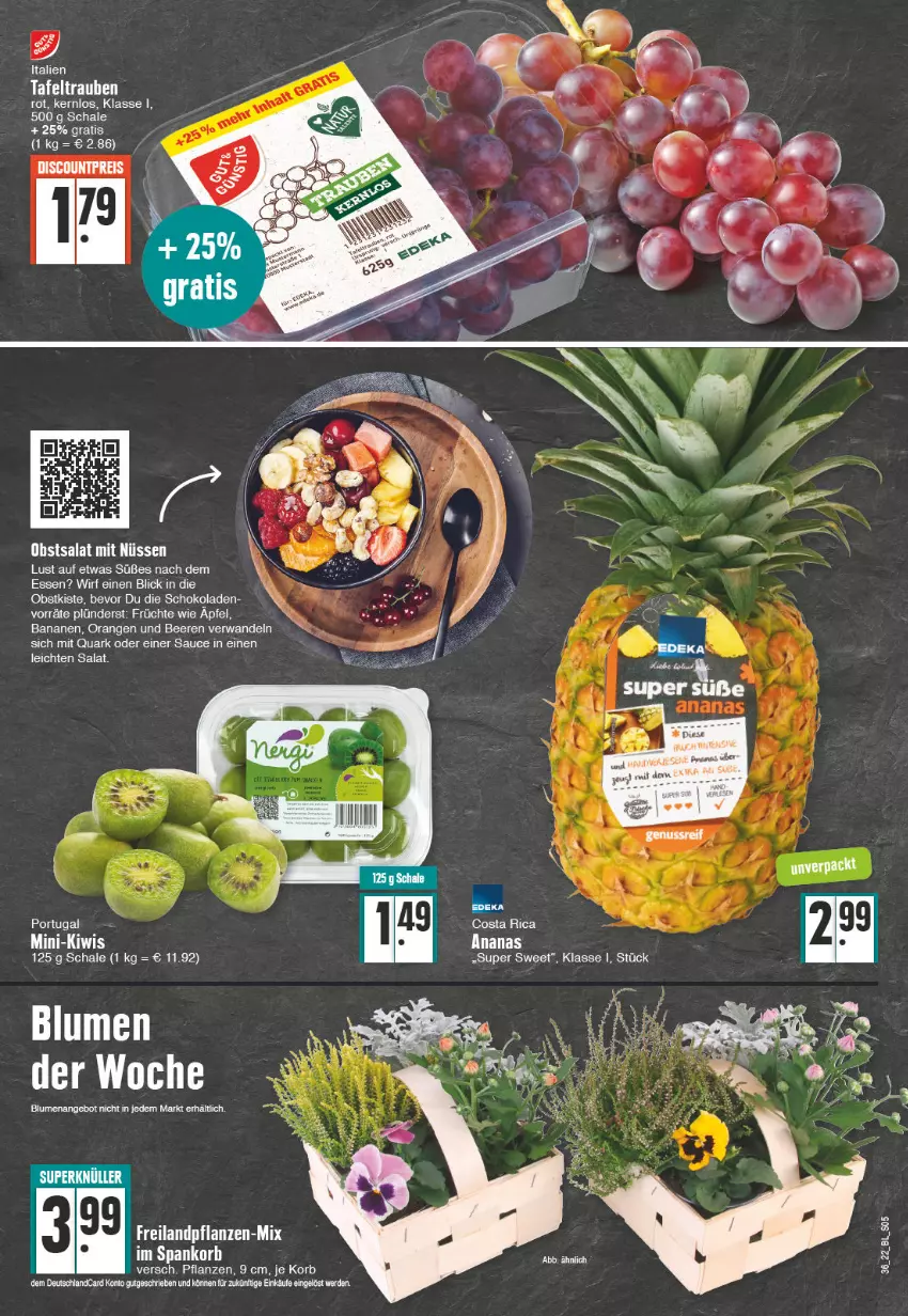 Aktueller Prospekt Edeka - Angebote der Woche - von 05.09 bis 10.09.2022 - strona 5 - produkty: ananas, angebot, apfel, banane, bananen, beere, beeren, blume, blumen, discount, eis, erde, früchte, kiwi, korb, obst, orange, orangen, pflanze, pflanzen, quark, reis, salat, sauce, Schal, Schale, schoko, schokolade, schokoladen, tafeltrauben, tee, Ti, trauben