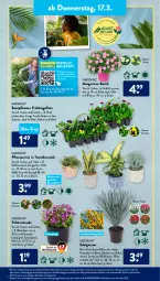 Gazetka promocyjna AldiSud - ALDI Aktuell - Gazetka - ważna od 19.03 do 19.03.2022 - strona 23 - produkty: aldi, alle artikel ohne dekoration, beetpflanzen, Blüte, decke, dekoration, eis, elle, gardenline®, gin, kaffee, kirsch, kissen, kulturtopf, leine, LG, ndk, pflanze, pflanzen, Rauch, Ria, ring, sekt, Ti, topf, übertopf, vita, ZTE