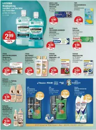 Gazetka promocyjna Vmarkt - Prospekte - Gazetka - ważna od 19.06 do 19.06.2024 - strona 10 - produkty: anti-falten experte, axe, axe duschgel, blend-a-med, body, bodyspray, bürste, bürsten, Cien, creme, deo, deospray, duschgel, elle, erde, flasche, Haftcreme, HP, l'oreal, loreal, magnesium, milch, oral-b, Pflegecreme, Reinigung, Reinigungsmilch, rexona, schauma, shampoo, shampoo oder spülung, sprühflasche, spülung, tablet, tablett, Tablette, Ti, wasser, zahncreme