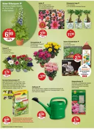 Gazetka promocyjna Vmarkt - Prospekte - Gazetka - ważna od 19.06 do 19.06.2024 - strona 16 - produkty: angebot, angebote, auer, Bau, bio, Blüte, brause, dahlie, dünger, eis, ferramol schneckenkorn, Ficus, Garten, Gießkanne, HP, korn, kräuter, LG, natur, obst, petunie, pflanze, pflanzen, Rauch, Ria, rwe, schneckenkorn, schoko, schokolade, schokoladen, Ti, topf, übertopf