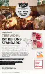Gazetka promocyjna Kaufland - Gazetka - ważna od 05.10 do 05.10.2022 - strona 43 - produkty: angebot, angebote, ente, mac, rind, rinder, Ti, Tiere